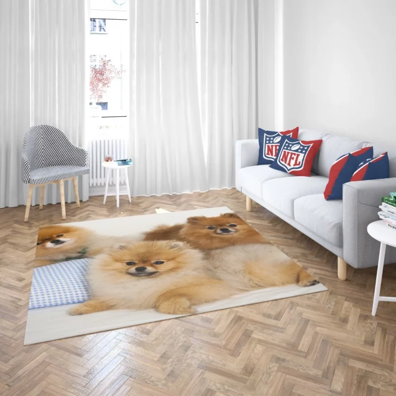 Pomeranian Playful Charm Rug 2