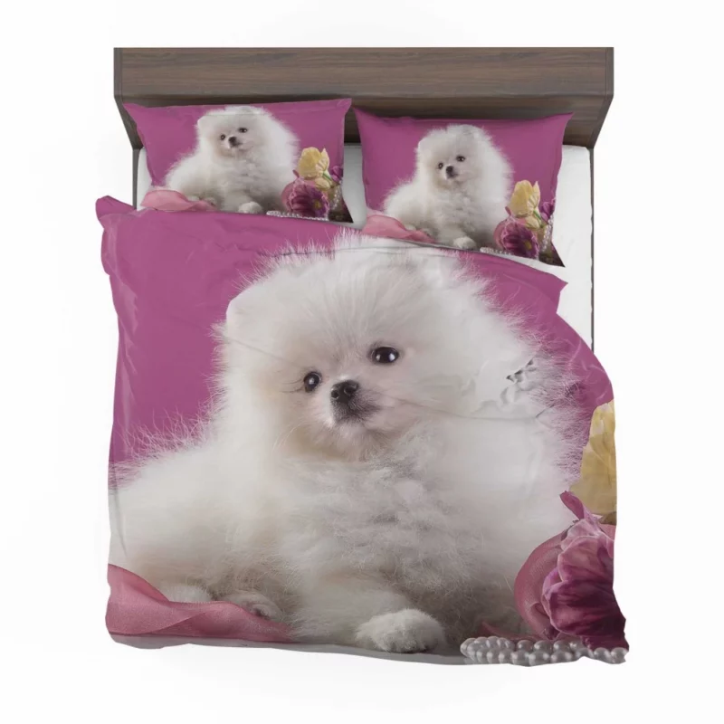 Pomeranian Puppies Pearl Play Furry Innocence Bedding Set 1