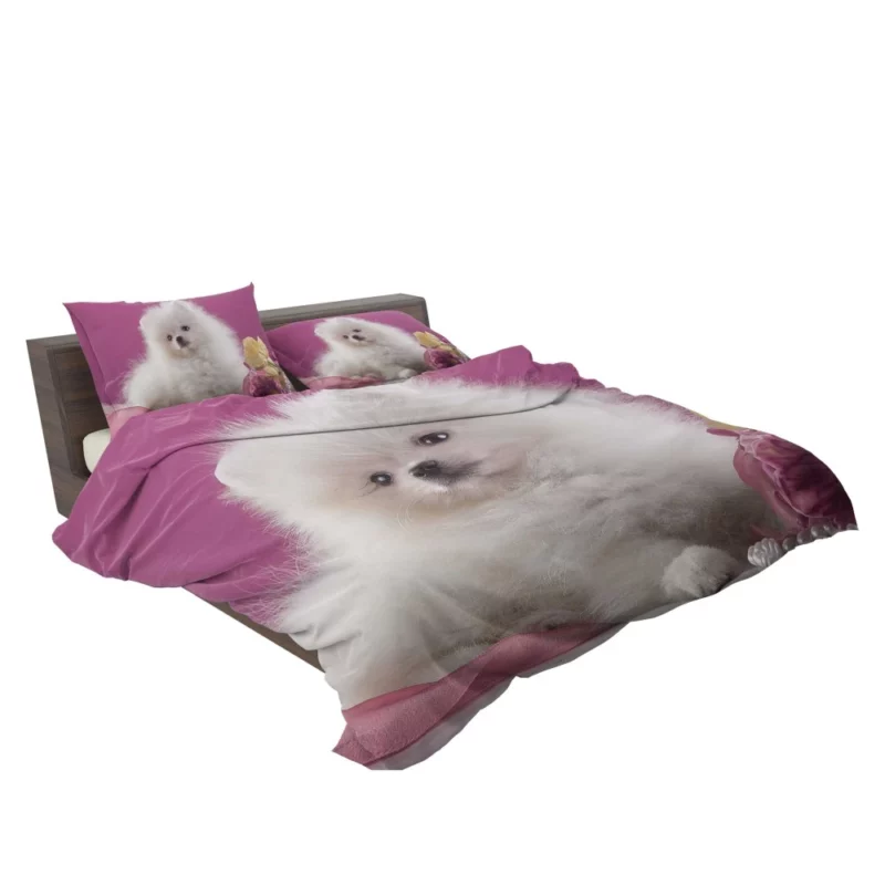 Pomeranian Puppies Pearl Play Furry Innocence Bedding Set 2