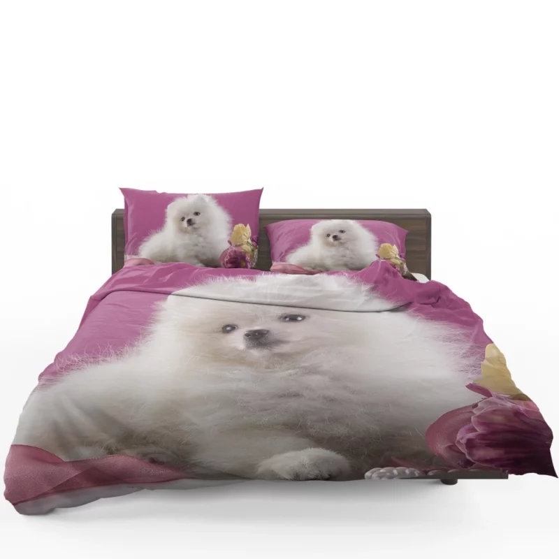 Pomeranian Puppies Pearl Play Furry Innocence Bedding Set