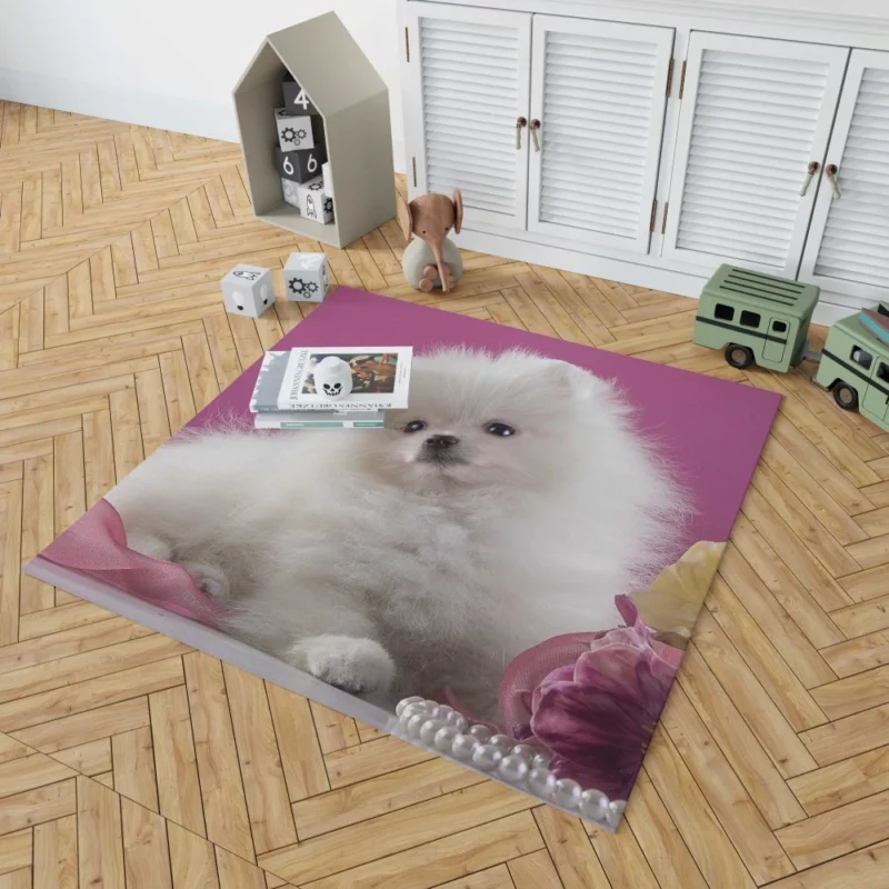 Pomeranian Puppies Pearl Play Furry Innocence Rug 1