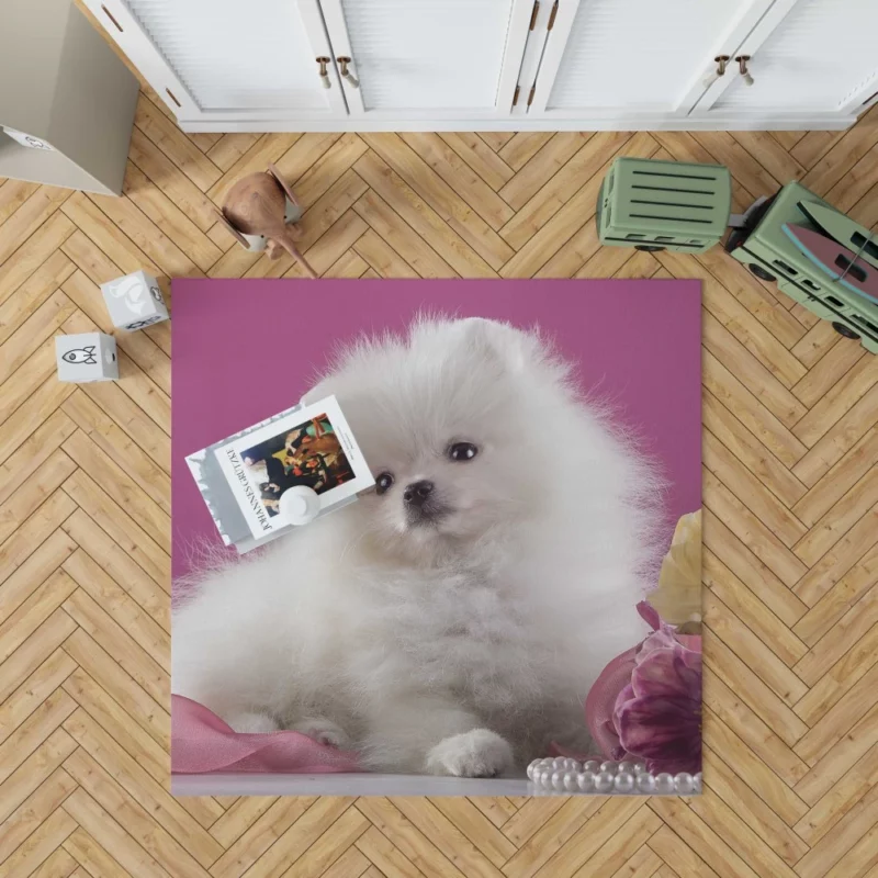 Pomeranian Puppies Pearl Play Furry Innocence Rug