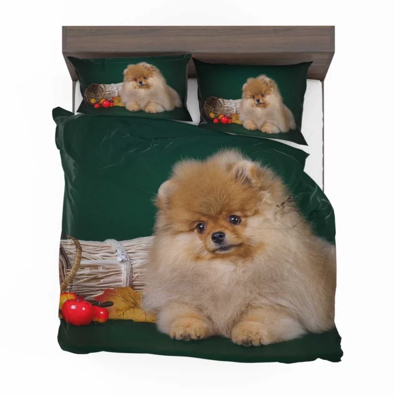 Pomeranian Puppy Fluffy Charm Bedding Set 1