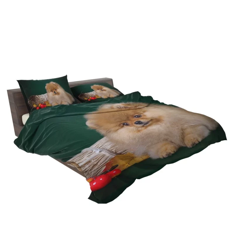 Pomeranian Puppy Fluffy Charm Bedding Set 2