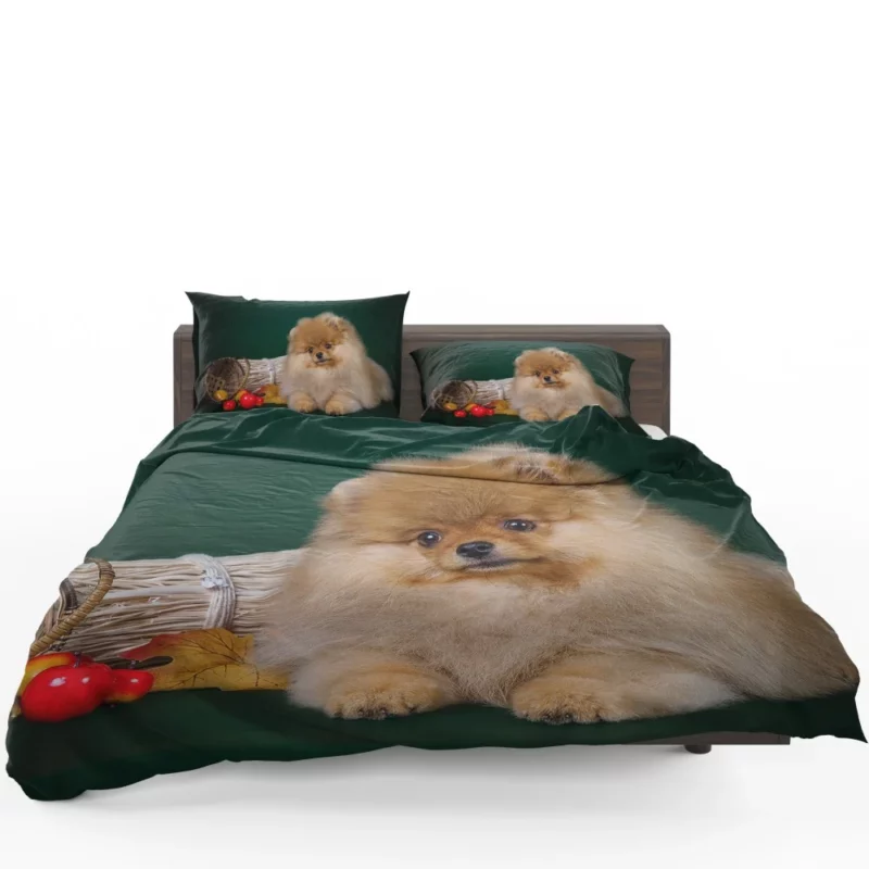 Pomeranian Puppy Fluffy Charm Bedding Set