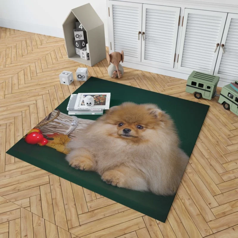 Pomeranian Puppy Fluffy Charm Rug 1