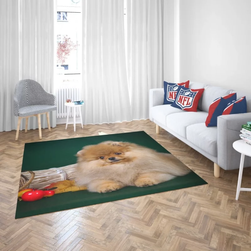 Pomeranian Puppy Fluffy Charm Rug 2