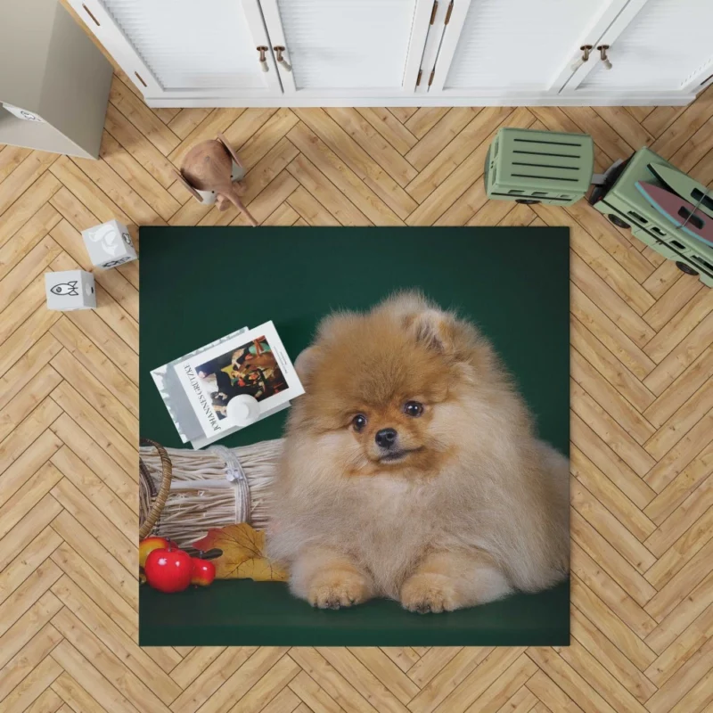 Pomeranian Puppy Fluffy Charm Rug