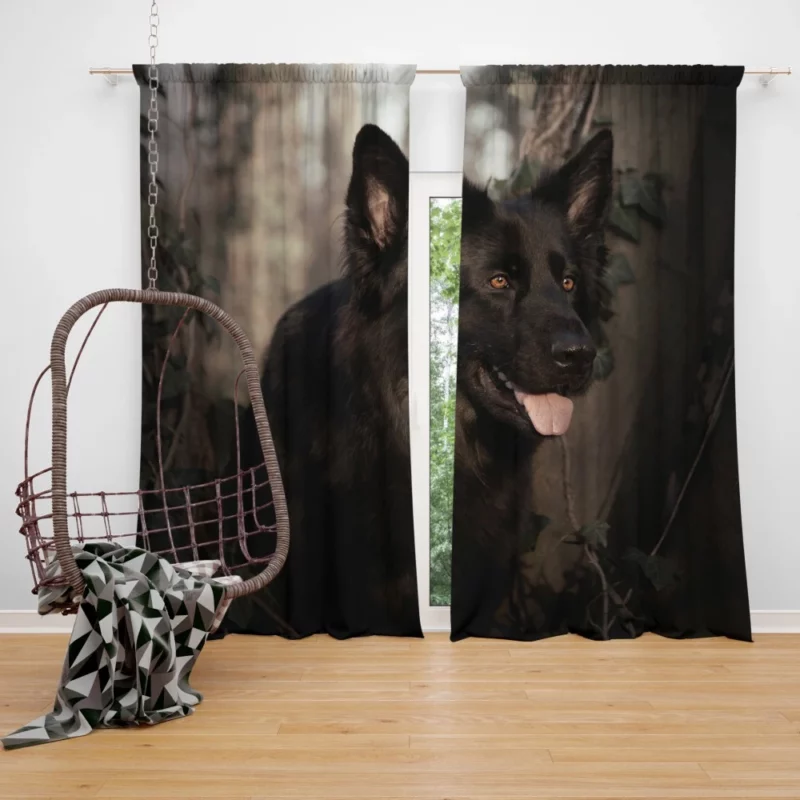 Powerful Aura German Shepherd Curtain