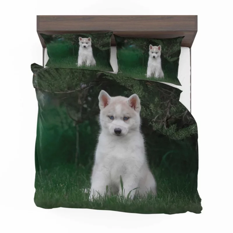 Precious Husky Puppy Playful Glee Bedding Set 1