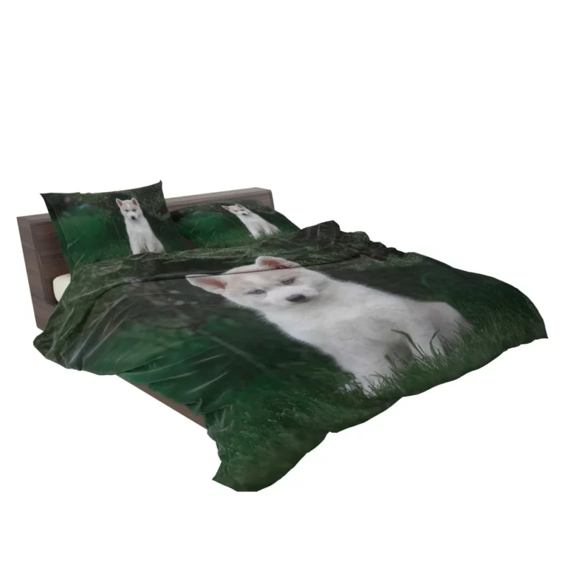 Precious Husky Puppy Playful Glee Bedding Set 2