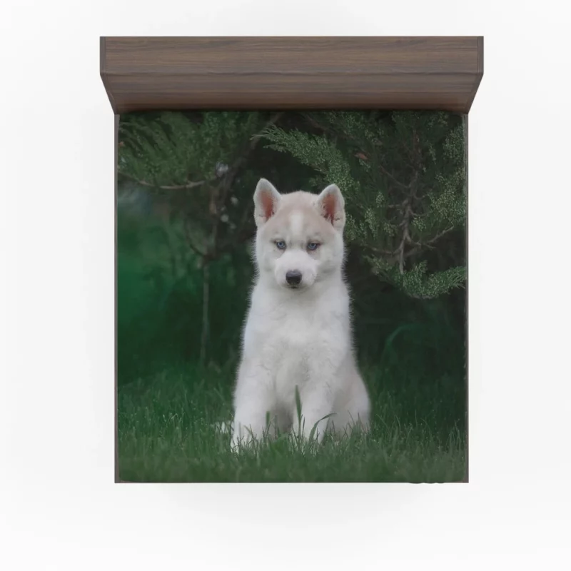 Precious Husky Puppy Playful Glee Fitted Sheet 1