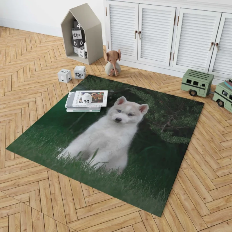 Precious Husky Puppy Playful Glee Rug 1