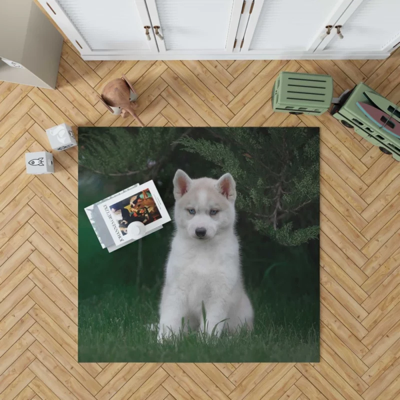 Precious Husky Puppy Playful Glee Rug