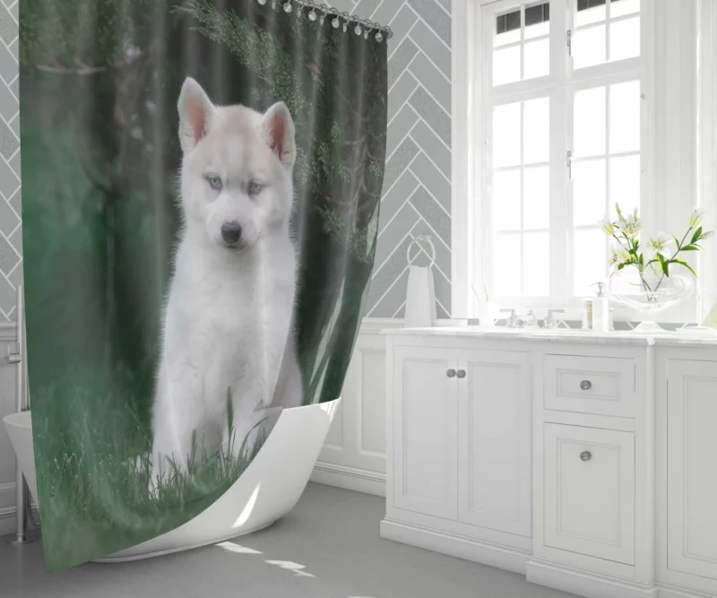 Precious Husky Puppy Playful Glee Shower Curtain 1