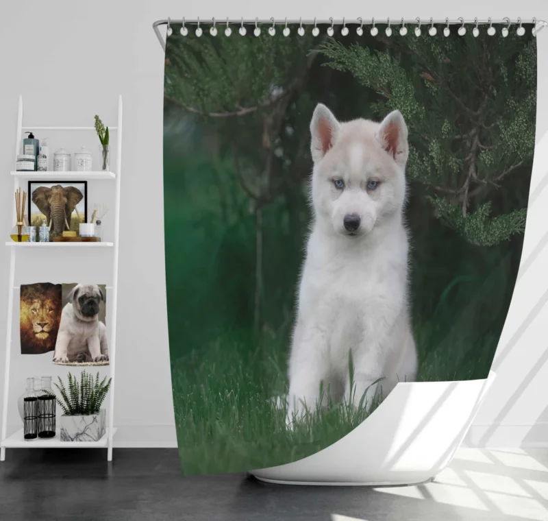 Precious Husky Puppy Playful Glee Shower Curtain