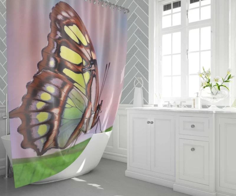 Pretty Butterfly on Leaf Nature Grace Shower Curtain 1