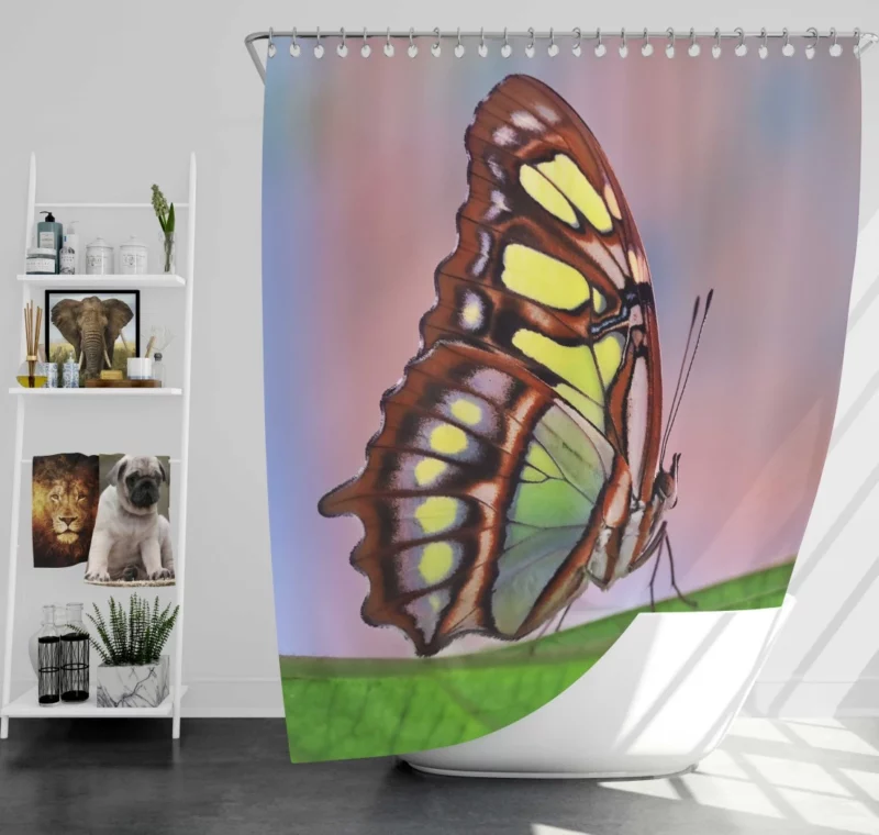 Pretty Butterfly on Leaf Nature Grace Shower Curtain