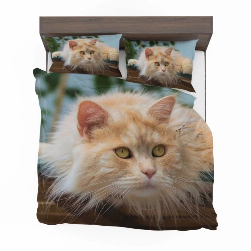 Pretty Cat Captivating Essence Bedding Set 1