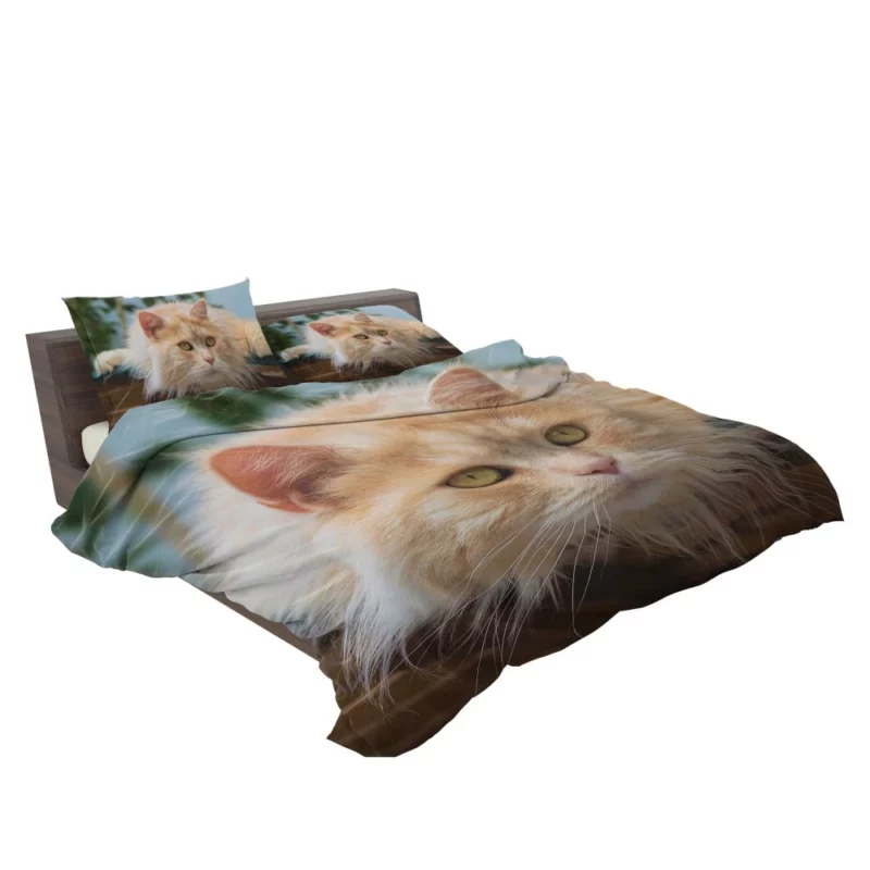 Pretty Cat Captivating Essence Bedding Set 2