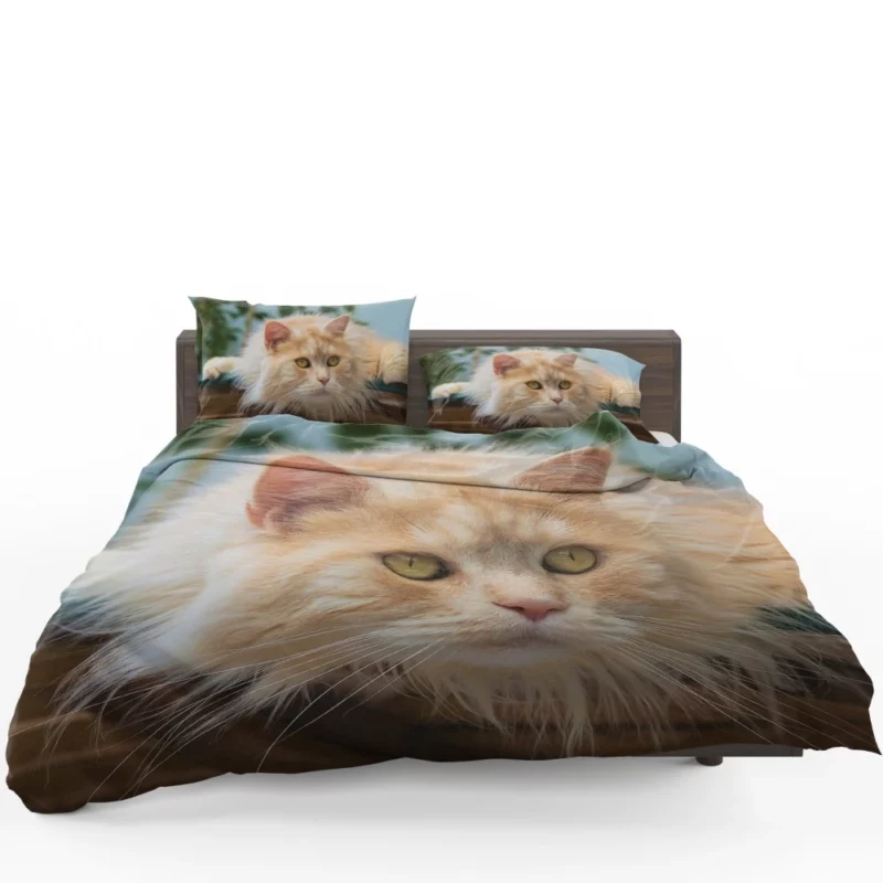 Pretty Cat Captivating Essence Bedding Set