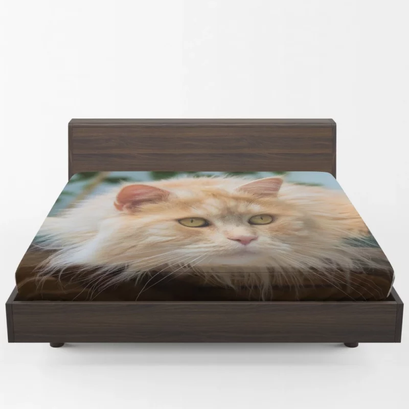 Pretty Cat Captivating Essence Fitted Sheet