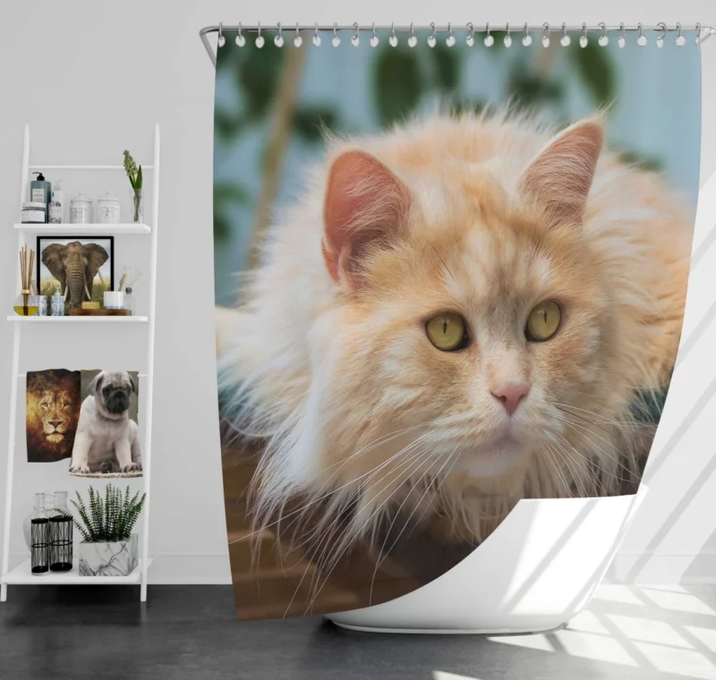 Pretty Cat Captivating Essence Shower Curtain