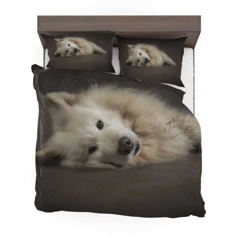 Pretty Dog White Fluffy Elegance Bedding Set 1