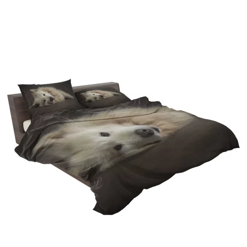 Pretty Dog White Fluffy Elegance Bedding Set 2