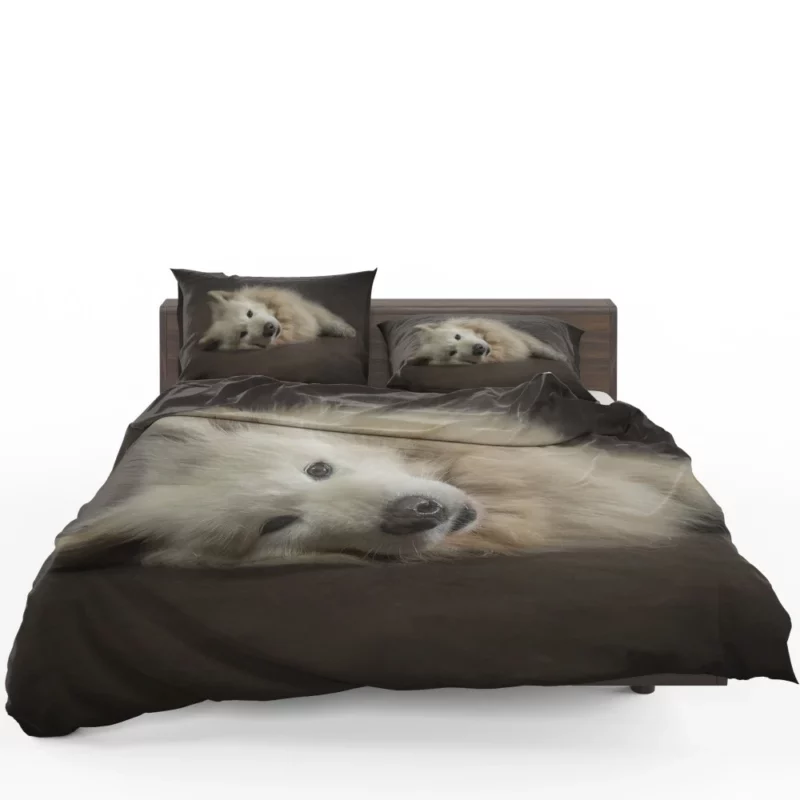 Pretty Dog White Fluffy Elegance Bedding Set