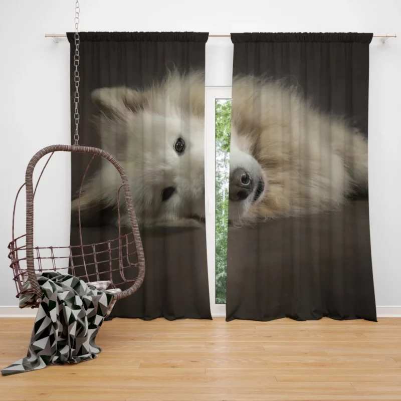 Pretty Dog White Fluffy Elegance Curtain