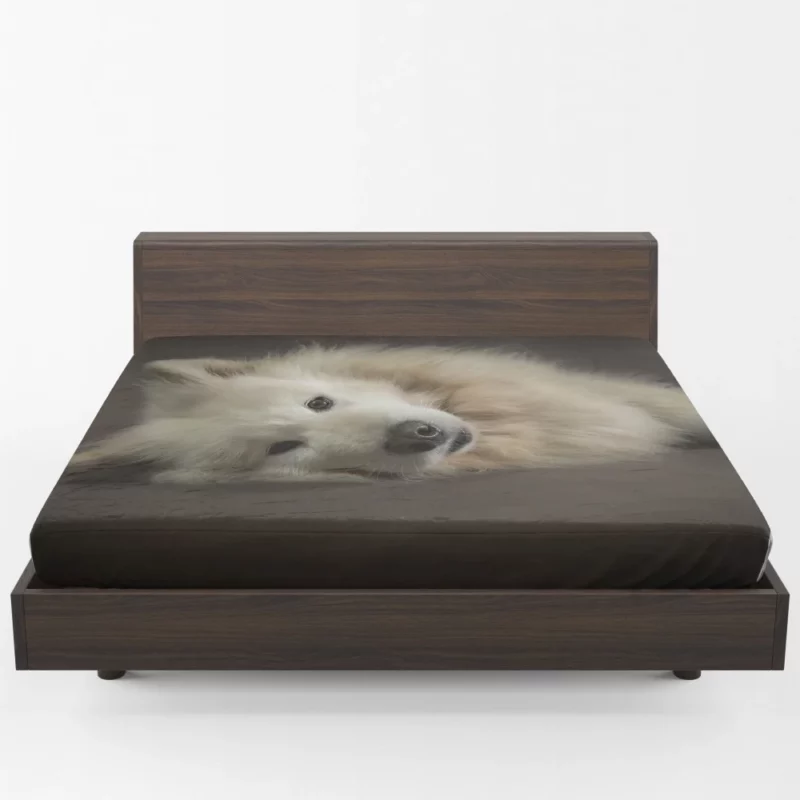 Pretty Dog White Fluffy Elegance Fitted Sheet