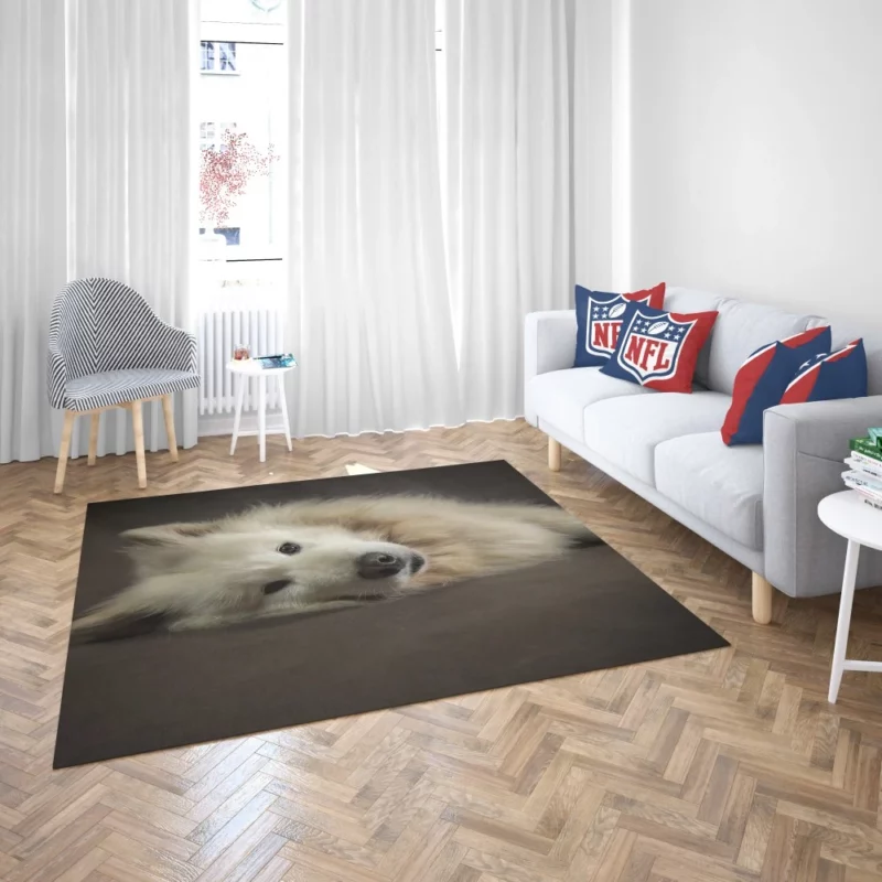 Pretty Dog White Fluffy Elegance Rug 2