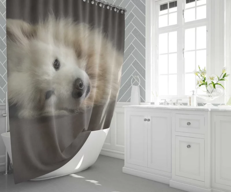 Pretty Dog White Fluffy Elegance Shower Curtain 1