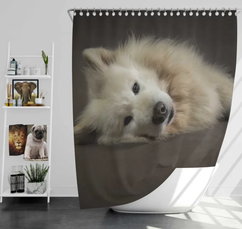 Pretty Dog White Fluffy Elegance Shower Curtain