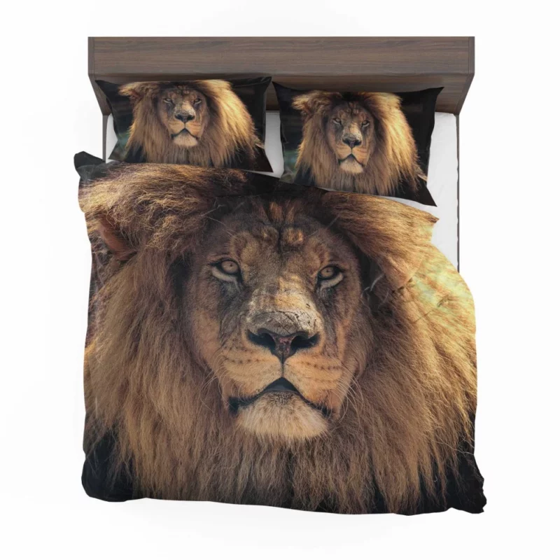 Proud Lion Roar Bedding Set 1