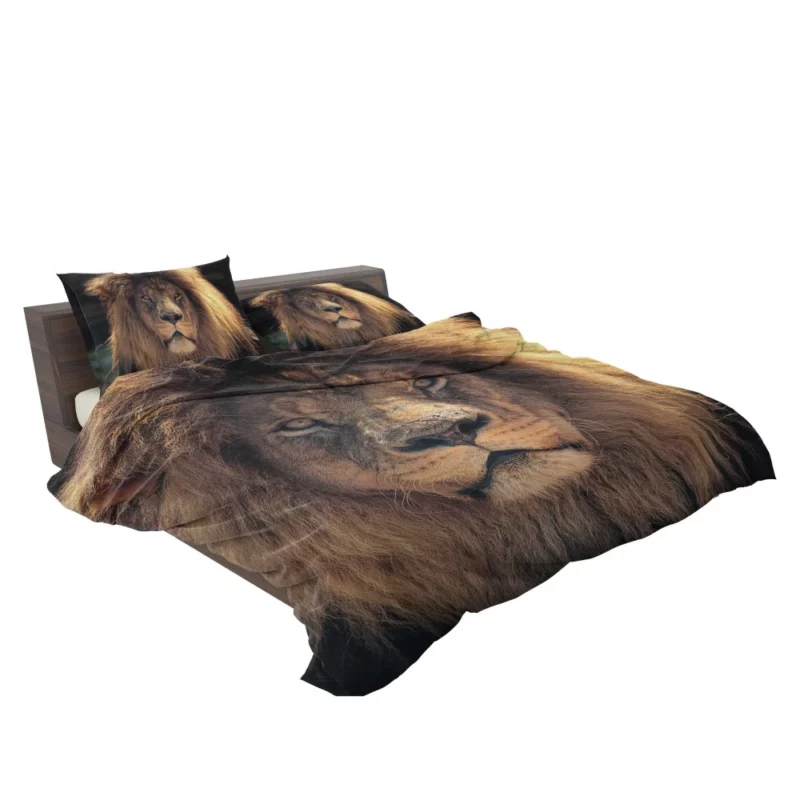 Proud Lion Roar Bedding Set 2