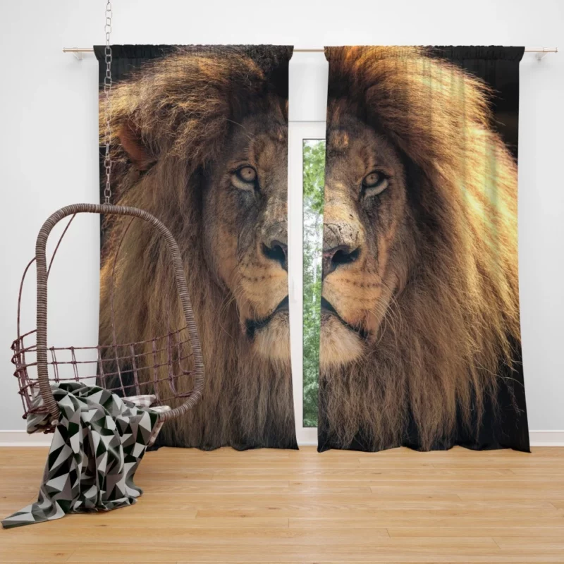 Proud Lion Roar Curtain