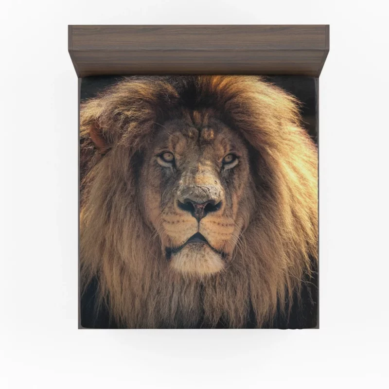 Proud Lion Roar Fitted Sheet 1