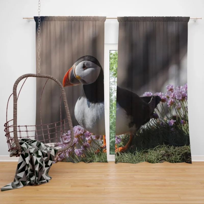 Puffin Coastal Charm Seaside Wonder Curtain