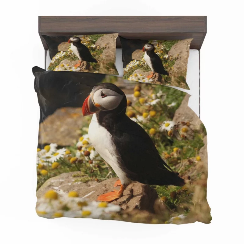 Puffin Coastal Gaze Seaside Wonder Bedding Set 1