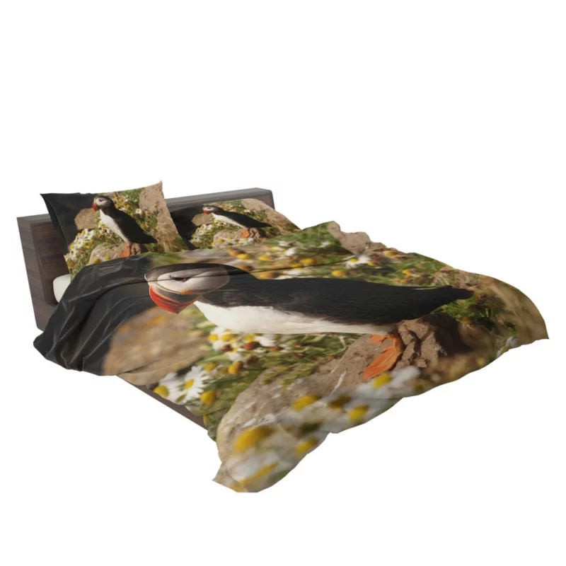 Puffin Coastal Gaze Seaside Wonder Bedding Set 2