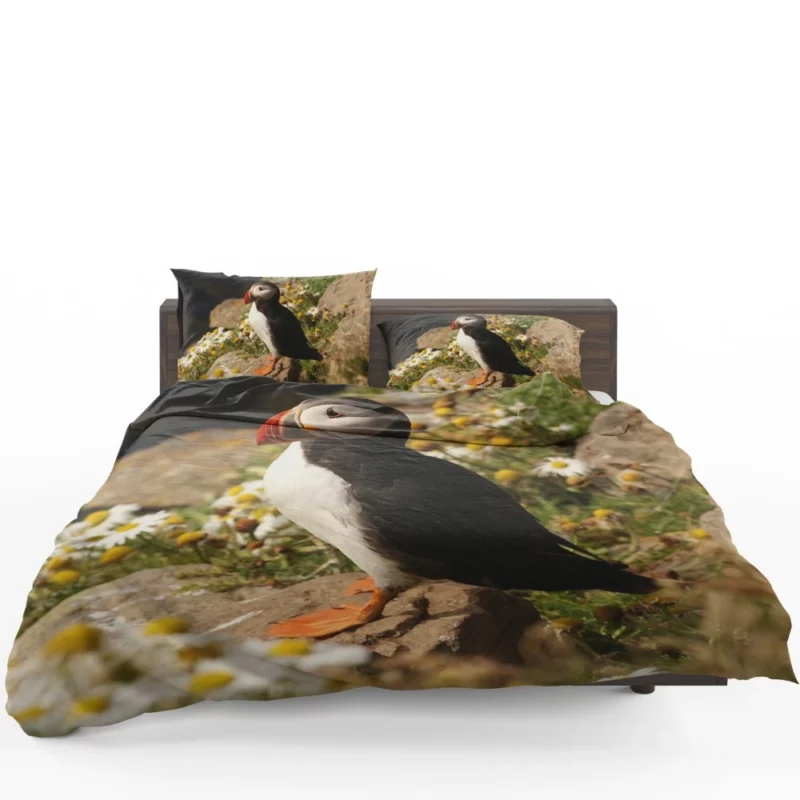 Puffin Coastal Gaze Seaside Wonder Bedding Set