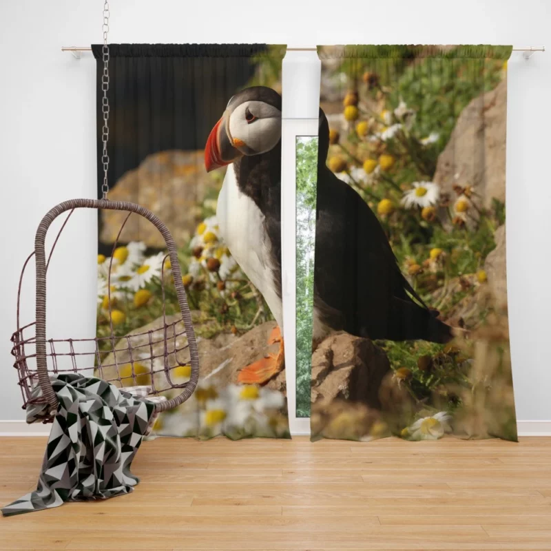 Puffin Coastal Gaze Seaside Wonder Curtain