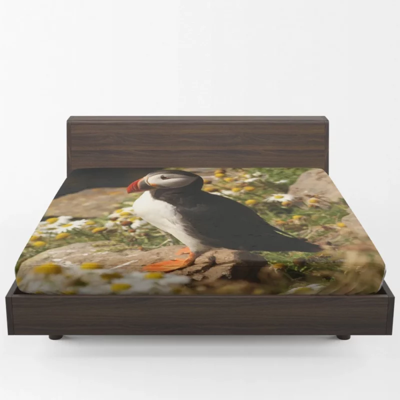 Puffin Coastal Gaze Seaside Wonder Fitted Sheet