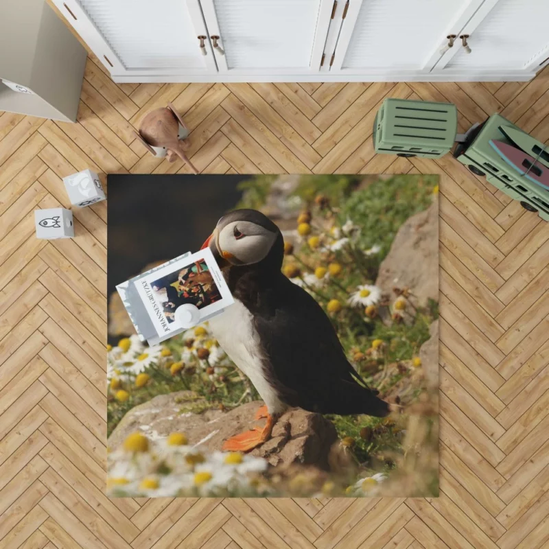 Puffin Coastal Gaze Seaside Wonder Rug