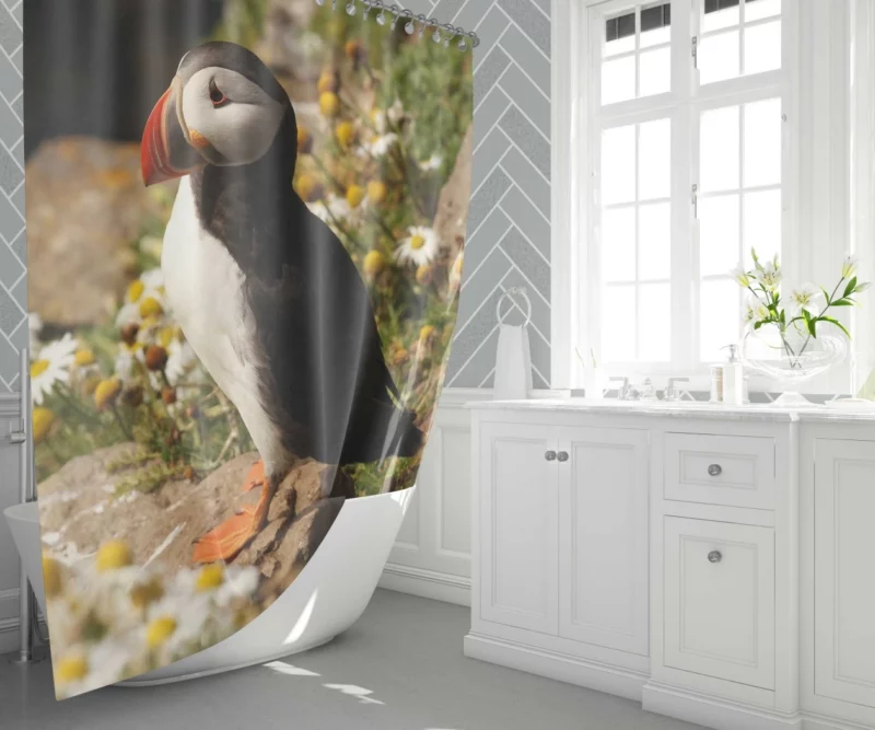 Puffin Coastal Gaze Seaside Wonder Shower Curtain 1