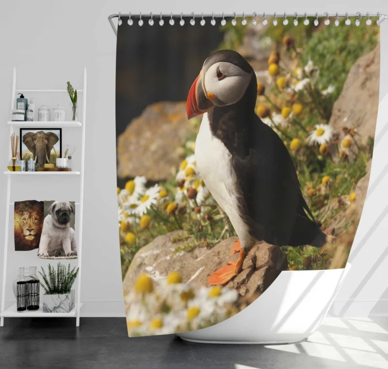 Puffin Coastal Gaze Seaside Wonder Shower Curtain