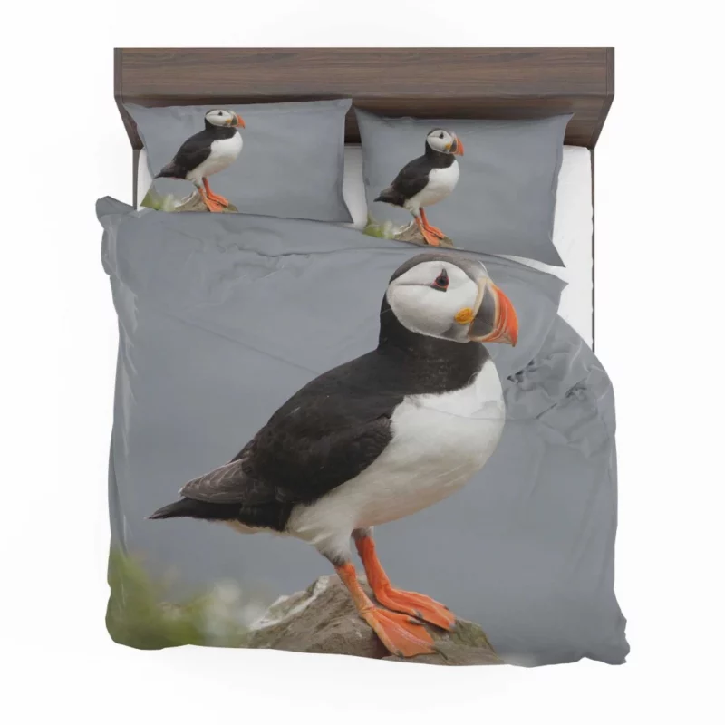 Puffin Icelandic Encounter Coastal Watcher Bedding Set 1