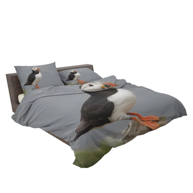 Puffin Icelandic Encounter Coastal Watcher Bedding Set 2